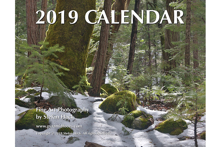 2019 Calendar