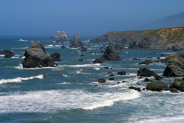 Bodega Bay Wedding Photographer